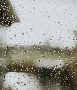 Kwaśne deszcze – jak powstają i jakie są ich skutki? (fot. Getty Images)