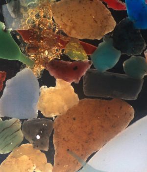 Bakterie naprawdę zjadają plastik. Czy to rozwiąże nasz problem z odpadami zanieczyszczającymi oceany? (fot. Maaike Goudriaan, NIOZ)