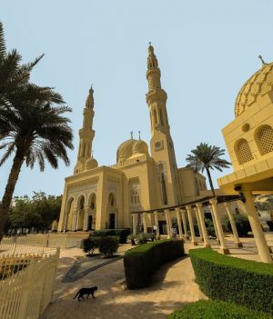 Meczet Jumeirah w Dubaju