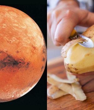 Gotowi do przeprowadzki na Marsa? W potencjalnych miastach mogą stanąć domy z ziemniaków