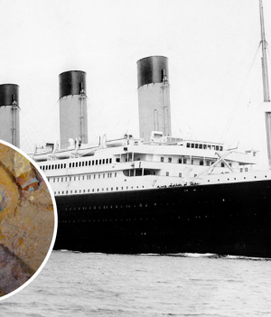 We wraku Titanica znaleziono złoty naszyjnik z zębem prehistorycznego rekina