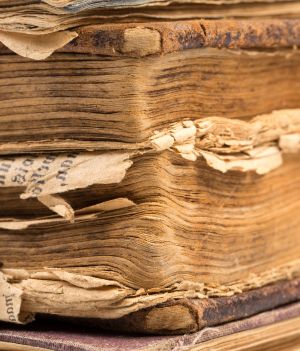 Historia papieru – kto go wynalazł i jak ewoluował przez lata? (fot. Getty Images)