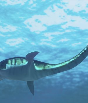 Gigantycznie długie szyje plezjozaurów to efekt błyskawicznej ewolucji. Gady „uzyskały” je w 5 milionów lat (ryc. Getty Images)
