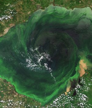 Jedno z najstarszych jezior na świecie skrywa sekret. Dlaczego ma tak dziwne kolory? (fot. contains modified Copernicus Sentinel data (2023), processed by ESA, CC BY-SA 3.0 IGO). Pełne zdjęcie poniżej.