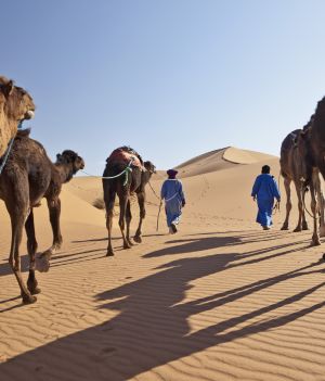 W średniowieczu najbardziej wytrawnymi podróżnikami byli Arabowie. Rekordzista – ibn Battuta – przemierzył 120 tys. km!