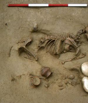Pochowano ich z różnymi zwierzętami. Archeologiczna zagadka z Włoch sprzed 2 tysięcy lat