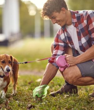 Sprzątajcie po swoich psach! Ich odchody są bardziej niebezpieczne niż sądzicie (fot. Shutterstock)