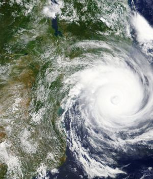 Cyklon tropikalny to jedno z najbardziej niszczycielskich zjawisk atmosferycznych. Jak powstaje? (fot. Shutterstock)