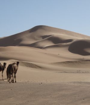 Odkryto sekret tajemniczej wydmy gwiaździstej na Saharze. Powstała w niespodziewany sposób