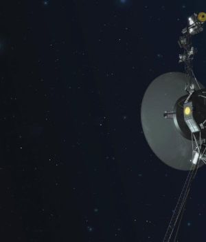 Voyager 1 od miesięcy przesyła na Ziemię tajemnicze wiadomości. NASA zaczyna rozumieć, skąd mogły się wziąć (ryc. NASA/JPL-Caltech)