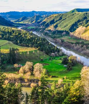 Rzeka jako osoba? To udało się w Nowej Zelandii i Indiach. Czy nasza Odra też uzyska osobowość? (fot. Shutterstock)