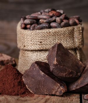 Czy czekolada jest zdrowa? Spożywali ją już Majowie, do dziś jest doceniana