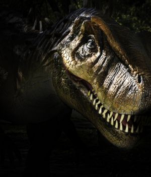 T-rex był głupkiem? Nowe dowody obalają tezę o wyjątkowej inteligencji tych dinozaurów