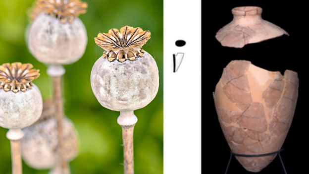 Naukowcy trafili na pierwsze dowody użycia opium w starożytności. Okoliczności? Nietypowe