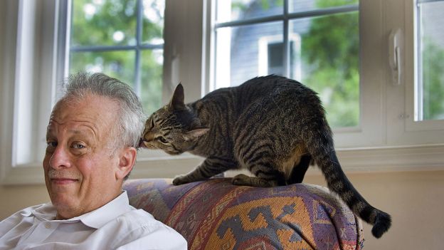 Istnieje związek między posiadaniem kota a schizofrenią – przekonują neurolodzy. Jak to możliwe? (fot. Karl Merton Ferron/Baltimore Sun/Tribune News Service via Getty Images)