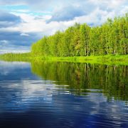 Morze zieleni i walka z rzeką. Odcinek 5 relacji z wyprawy do Laponii
