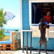 Crikvenica - bar i plaża przyjazne psom