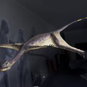 Ozimek volans – największe latające zwierzę triasu