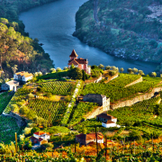 Autem przez winnice Portugalii