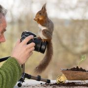 Fotograf przez 4 lata robił zdjęcia dzikim wiewiórkom. W końcu przyszedł czas na rewanż.