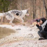 Połączyła miłość do psów i fotografii z podróżami