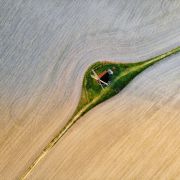A Drop of Water on a Blade of Grass by Milosz Kuss – wyróżnienie /URBAN