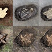 zdjęcia odnalezionych szkieletów
