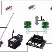 Powstał sterowany sztuczną inteligencją laser do zabijania prusaków (Fot. Oriental Insects (2022). DOI: 10.1080/00305316.2022.2121777)