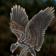 W Chinach odkryto niezwykłą skamieniałość. To stworzenie z głową dinozaura i tułowiem ptaka (fot. ZHAO Chuang)