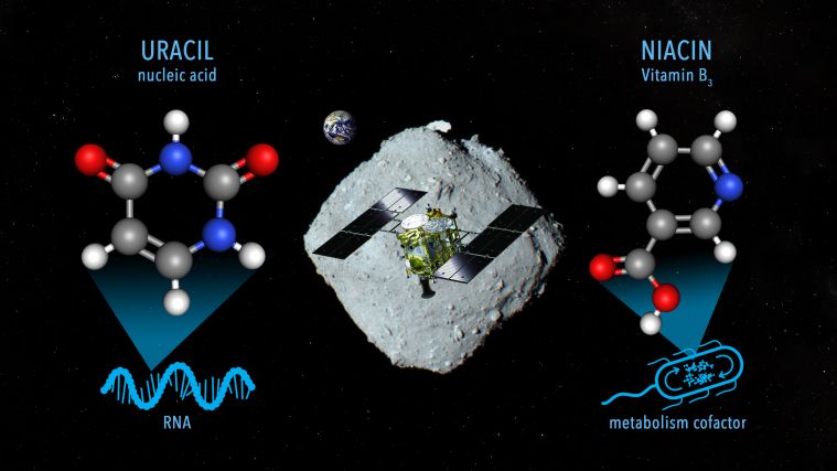 Uracyl i niacyna znalezione na asteroidzie