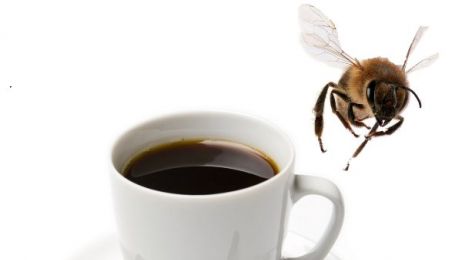 pszczoly_i_kofeina