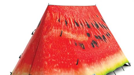 FieldCandy-Tent-What-a-Melon