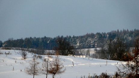 Stare_Kiełbonki_-_fields_in_winter