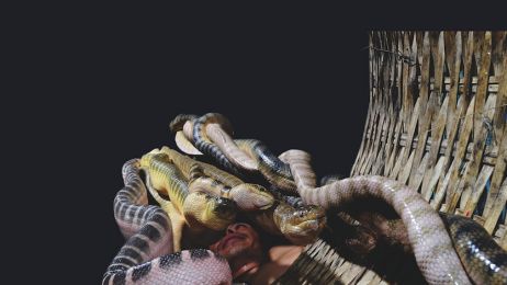 Połowy na węże w Tajlandii