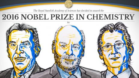 Nobel z chemii wręczony! Dla twórców najmniejszych maszyn świata