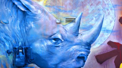 Graffiti przedstawiające nosorożca w Montrealu