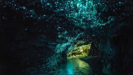 Jaskinia Waitomo