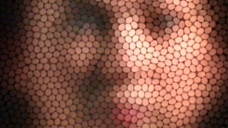 Jak widzą pszczoły i osy? Oto zdjęcie symulujące wizję ludzkiej twarzy