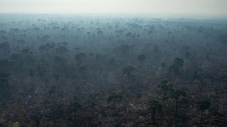 Tak wyglądają płonące lasy deszczowe Amazonii. Zdjęcia Greenpeace