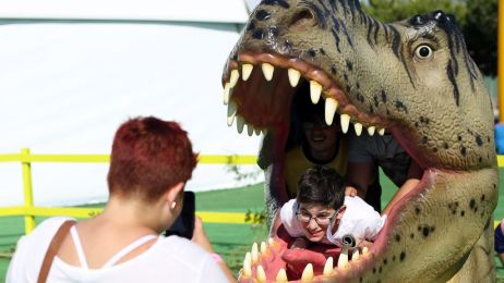 Ewa Kopacz została "nagrodzona" za stwierdzenie, że ludzie rzucali w dinozaury kamieniami (fot. Getty Images)