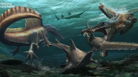 Dwa Spinozaury polują na prehistoryczne ryby piaskowe Onchopristis w wodach systemu rzecznego pokrywającego tereny obecnego Maroku około 97 milionów lat temu. Odkryte skamieliny ogona dinozaura pokazują, że dobrze nadawał się do pływania – co wzmacnia prz