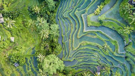 Indonezja: co warto zobaczyć i jak przygotować się do podróży? (fot. Getty Images)