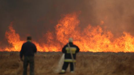 Płonie Biebrzański Park Narodowy fot. AGENCJA SE/East News