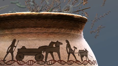 Prehistoryczne DNA dawnych Europejczyków ujawnia, czemu chorujemy na stwardnienie rozsiane i Alzheimera (ryc. Sayo Studio)