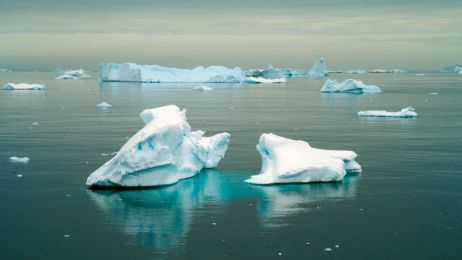 Antarktyda fot. Getty Images