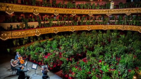 Koncertu wysłachało ponad 2 tysiące roślin (Photo by Jordi Vidal/Getty Images)