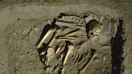 Neandertalski grób pochowany z La Chapelle aux Saints we Francji, datowany na około 50 000 lat temu