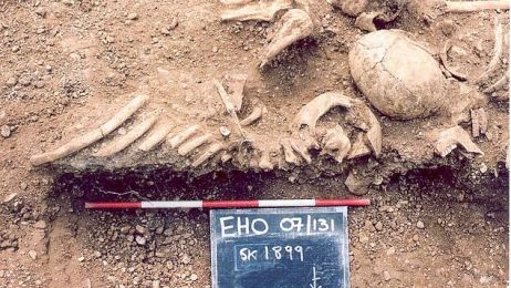 Szczątki Wikingów w miejscu wykopaliska / Thames Valley Archeological Service