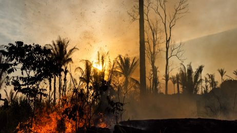 Pożary w Amazonii mogą być jeszcze tragiczniejsze w skutkach niż zeszłoroczne (Photo by Gustavo Basso/NurPhoto via Getty Images)
