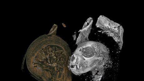 Trójwymiarowe prześwietlenia pokazały, co kryją mumie zwierząt